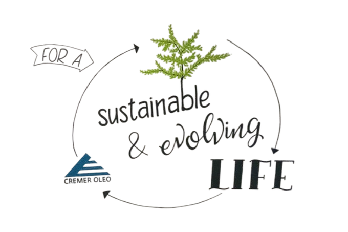 Making of the new CREMER OLEO slogan wall